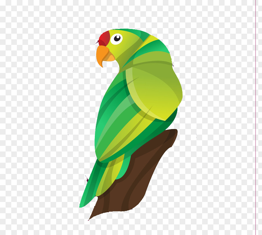 Parrot Raster Graphics CorelDRAW Bitmap Image Tracing PNG