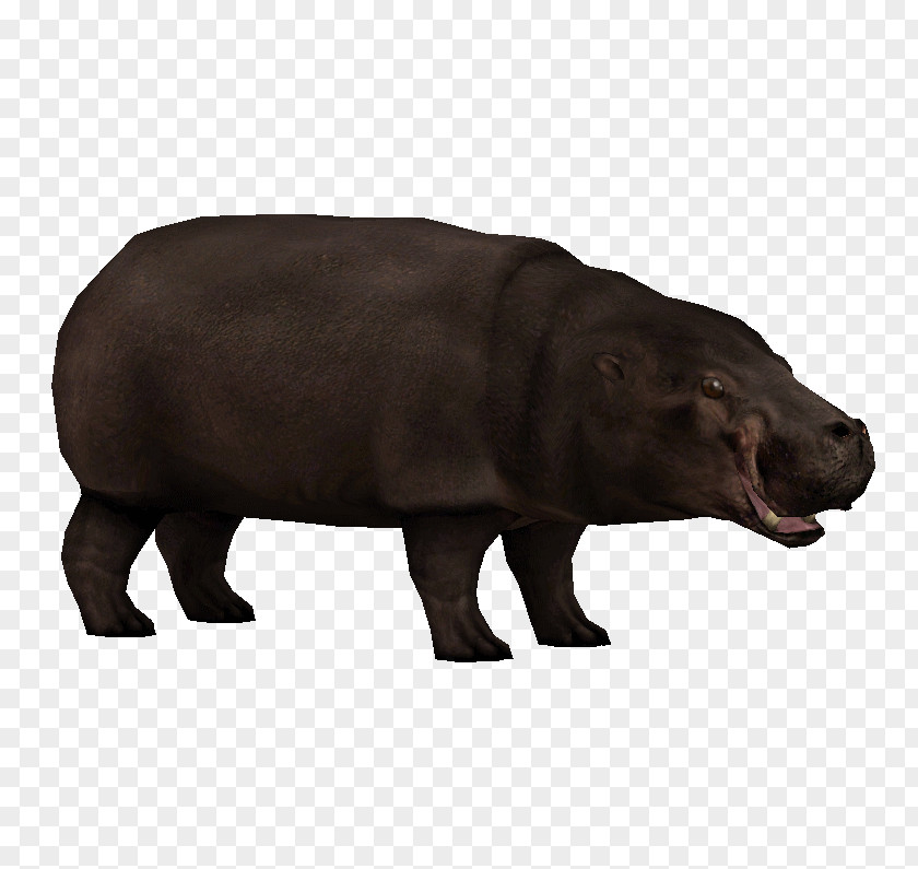 Pygmy Hippopotamus Zoo Tycoon 2: Extinct Animals Hippopotamuses PNG