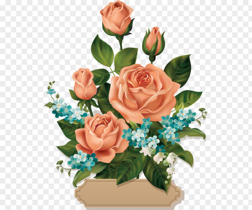 Rose Flower Clip Art PNG