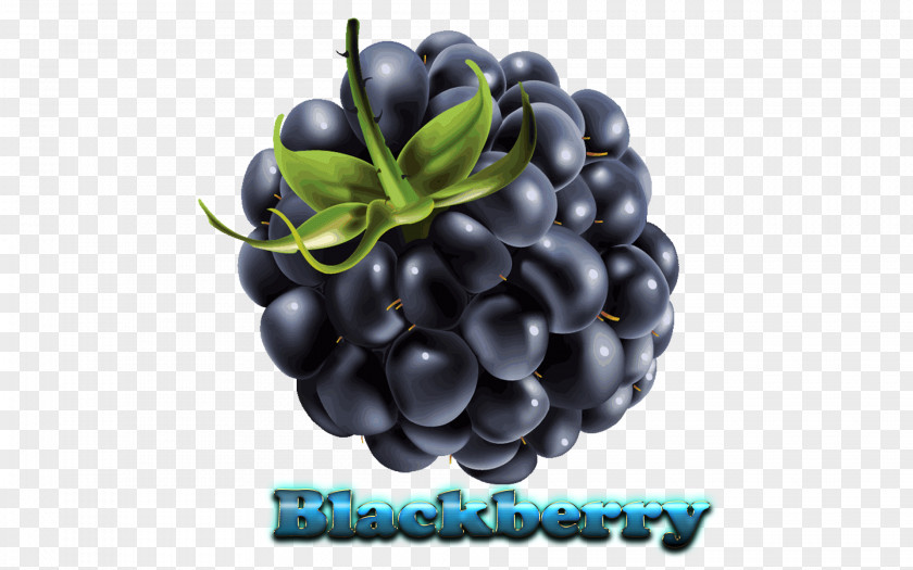 Blackberry BlackBerry Priv KEYone Messenger PNG