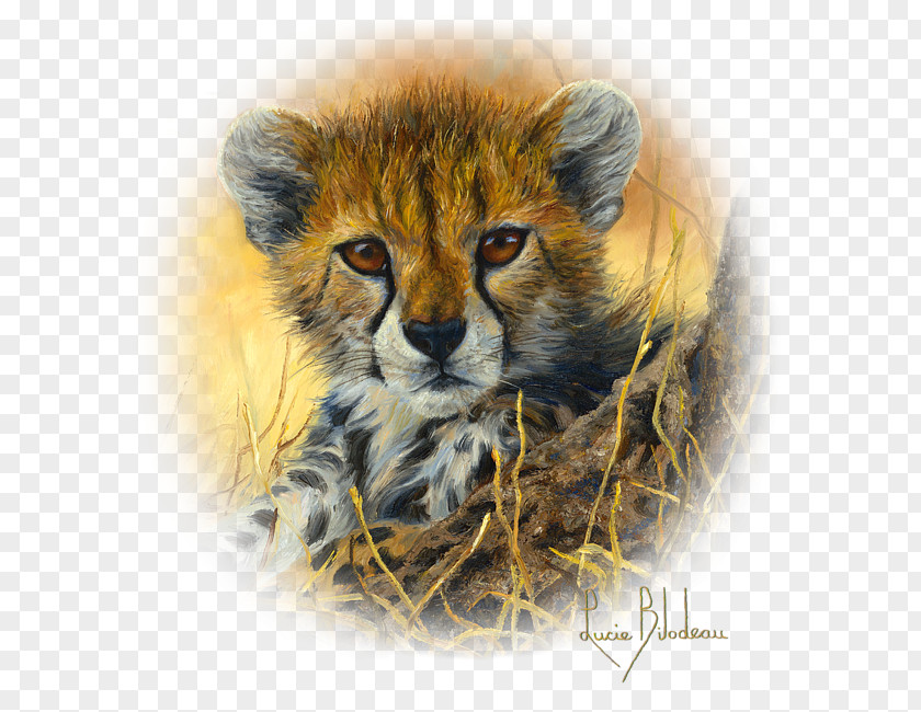 Cheetah Leopard South African T-shirt Painting Art PNG
