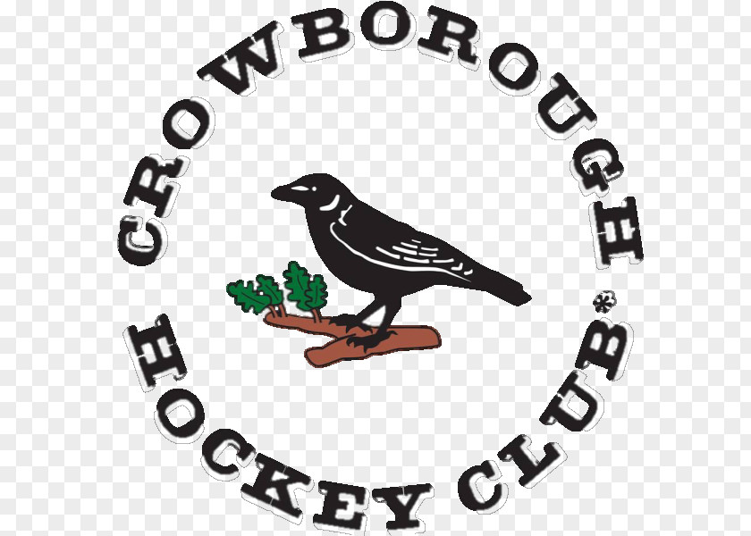 Crow Hockey Stick Logo KazTraffic Organization Sports Association Protected Health Information Advertising PNG