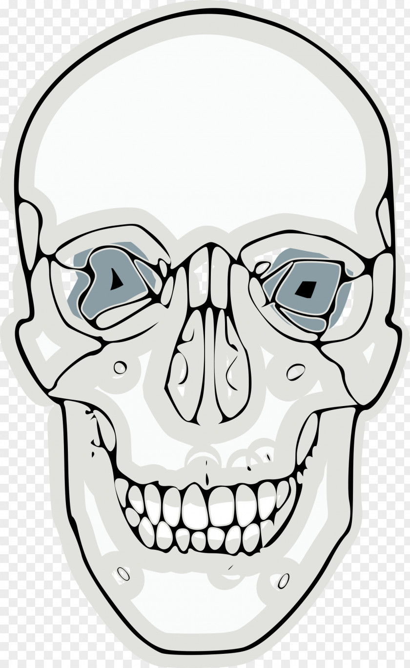 Anatomy Vector Skull And Crossbones Clip Art PNG