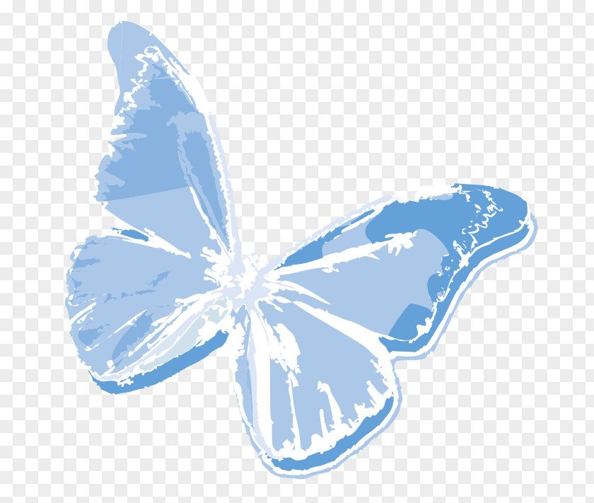 Butterfly Newsletter Email United States Book PNG