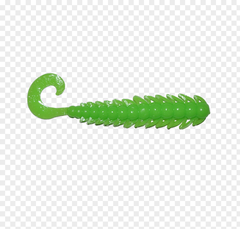 Green Caterpillar PNG