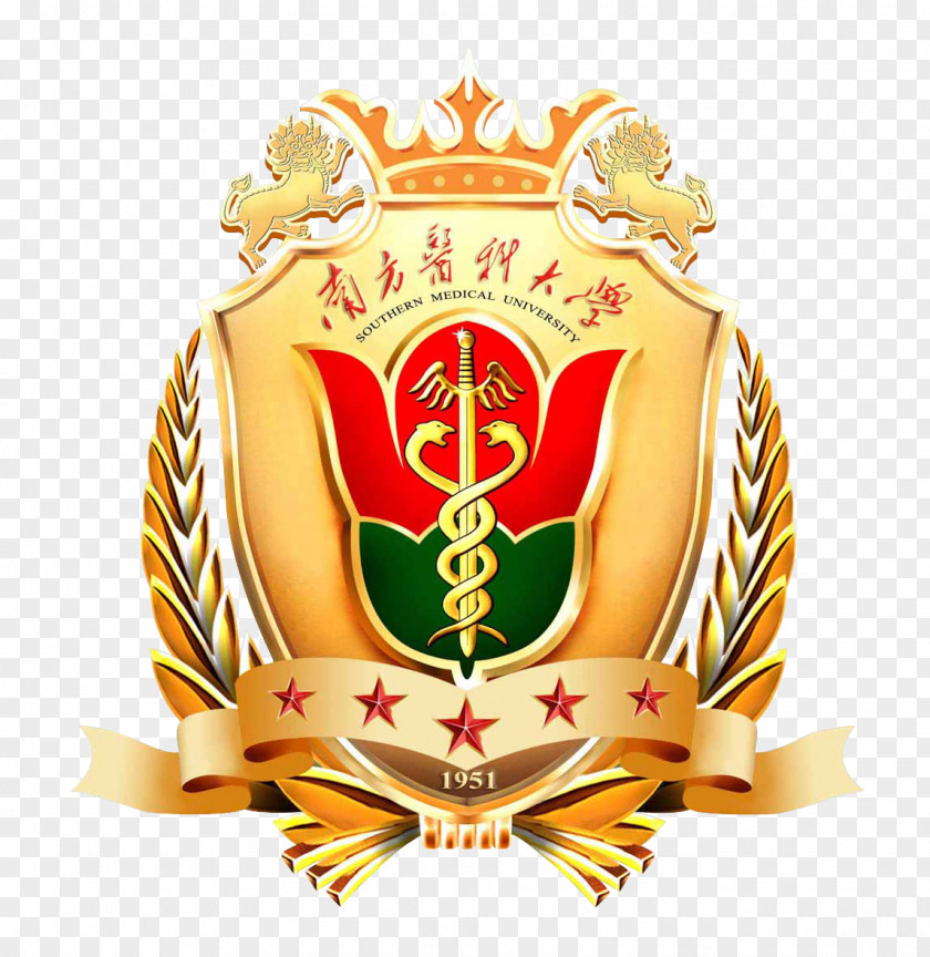 School Southern Medical University Hospital Medicine Education PNG