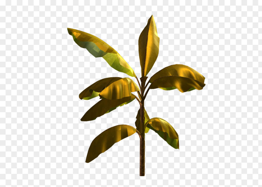 Twig Plant Stem Leaf Flower Tree Woody PNG