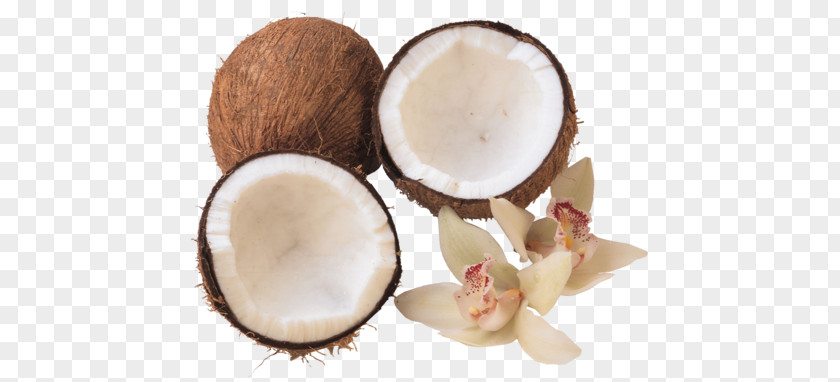 Coconut Water Oil Food Health PNG