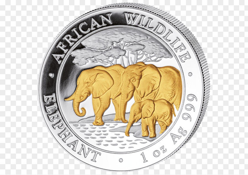 Coin African Elephant Indian Gold Elephants PNG