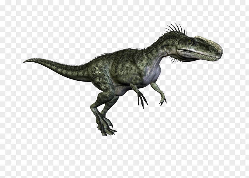 Dinosaurs Tyrannosaurus Velociraptor Dinosaur PhotoScape Clip Art PNG