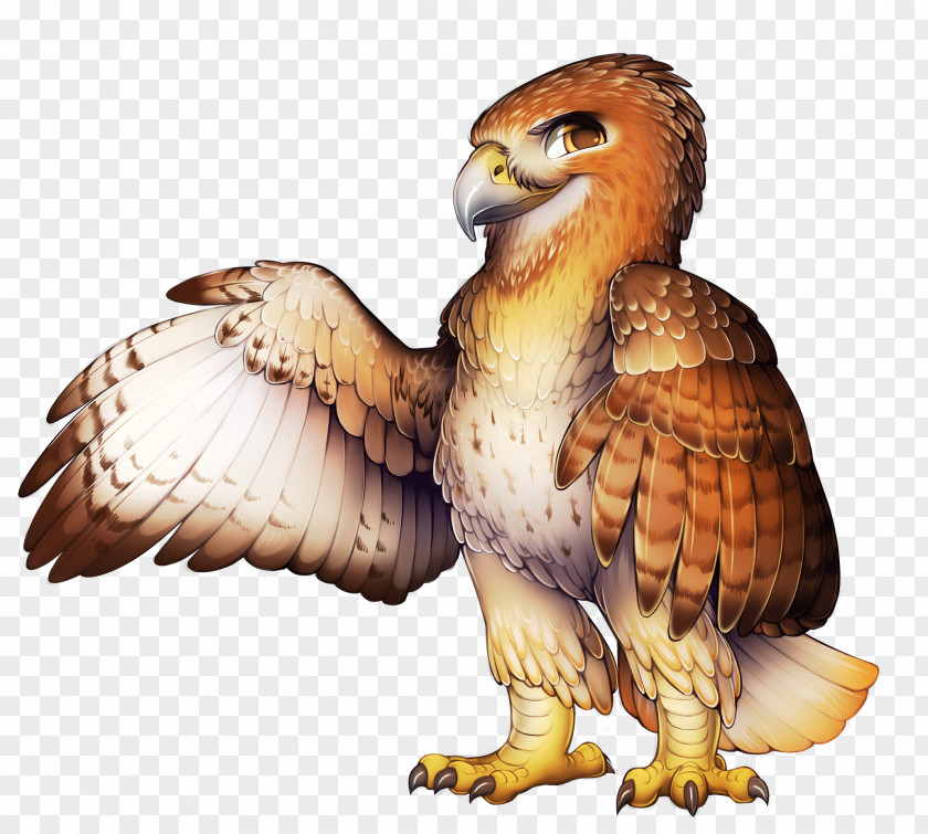 Eagle Red-tailed Hawk El Halcon De Cola Roja Furry Fandom PNG