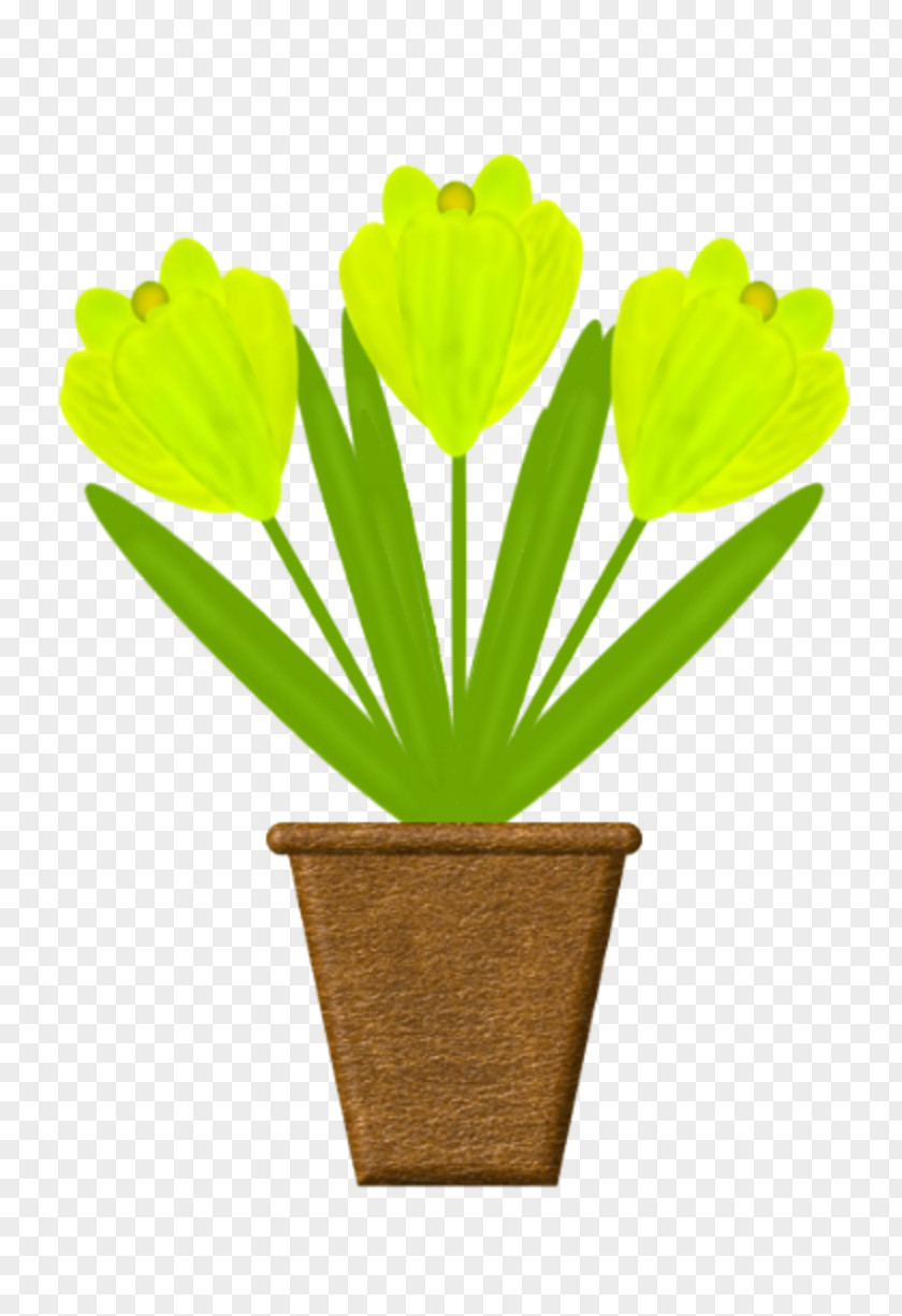 Fond Ecran Petal Desktop Wallpaper Flower Image PNG