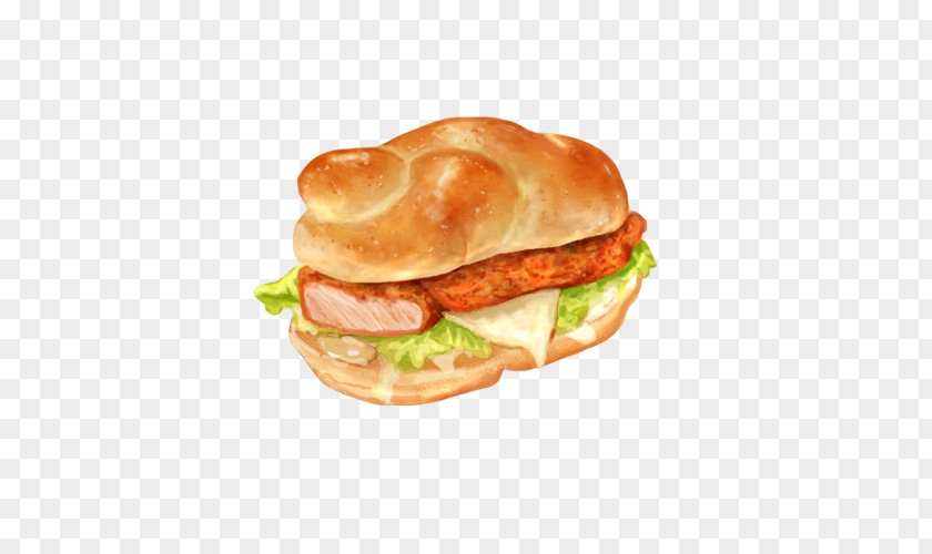 Hot Dog Color Paintings Material Picture Breakfast Sandwich Fast Food Hamburger Bxe1nh Mxec PNG