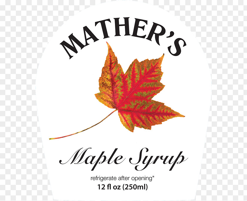 Maple Leaf Syrup Sugar Shack PNG