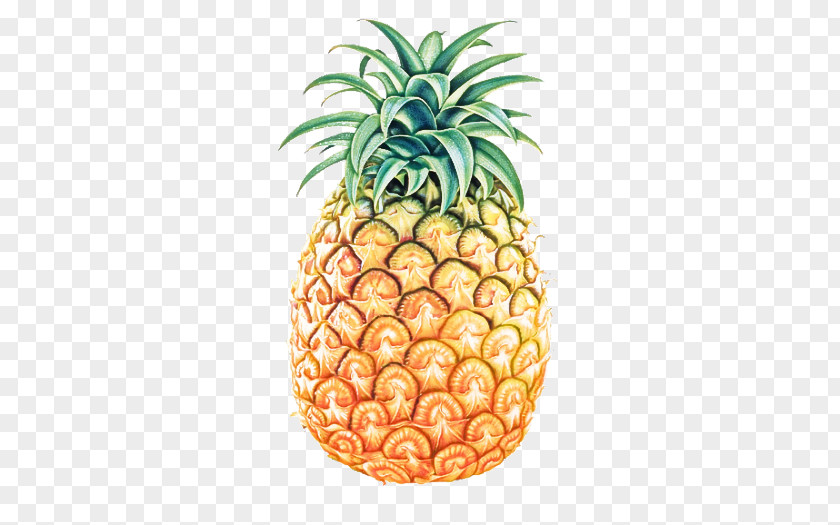 Pineapple PNG