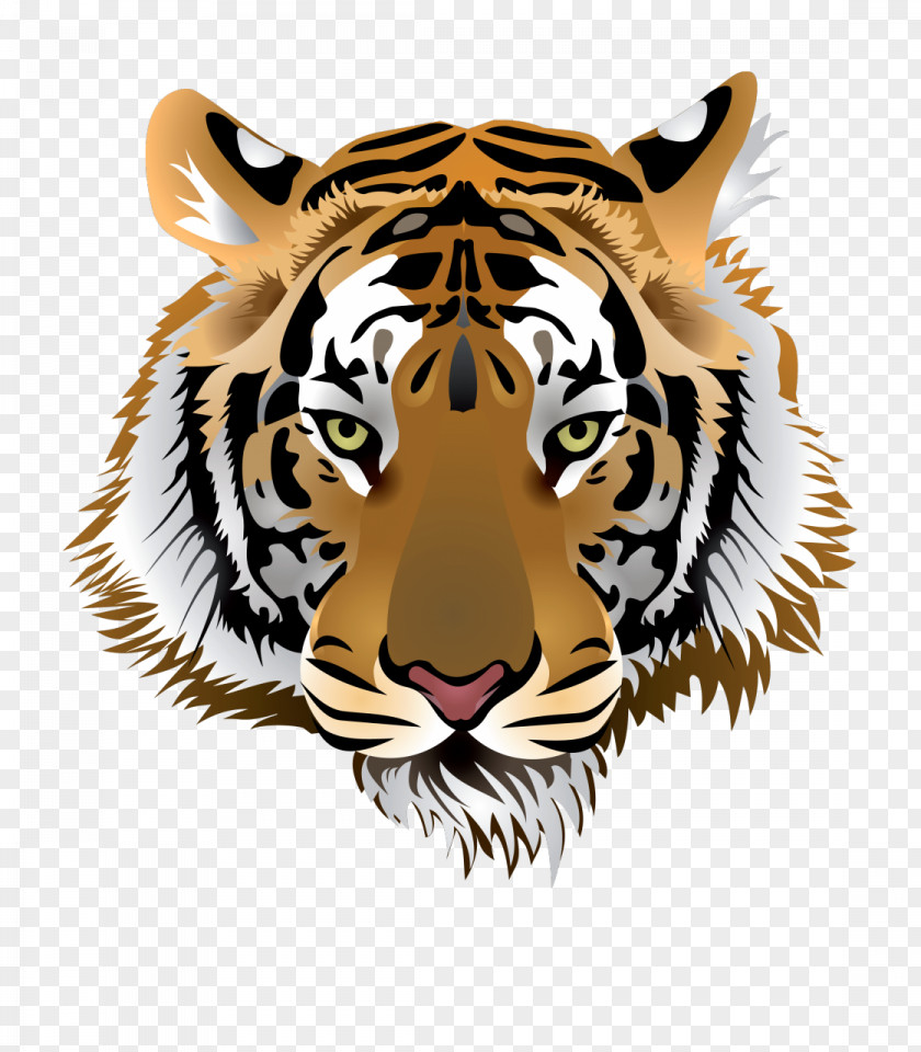 TIGER VECTOR Tiger Clip Art PNG