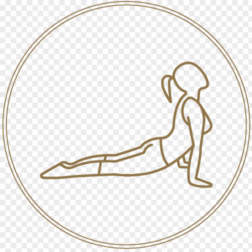 Yoga Stott Pilates Exercise Physical Fitness PNG