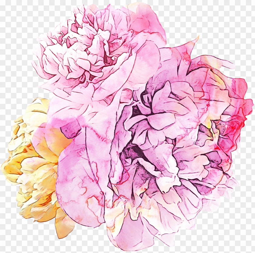 Bouquet Rose Order Watercolor Pink Flowers PNG