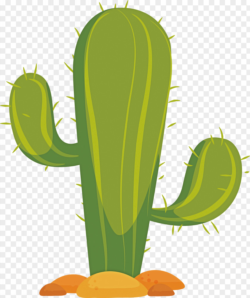 Cactus PNG