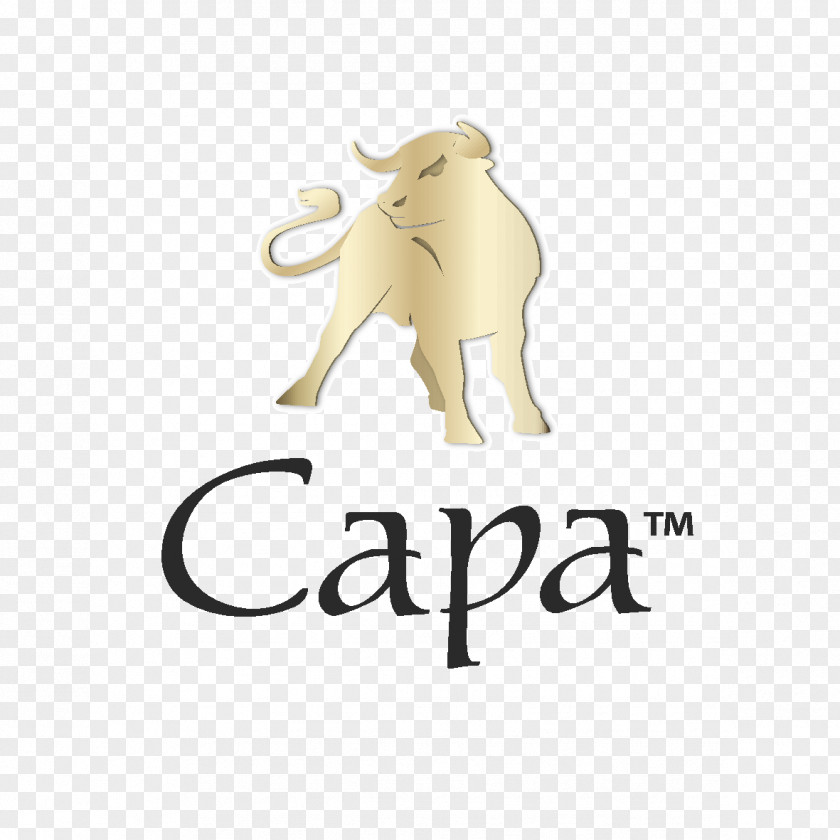 Cat Canidae Logo Dog Mammal PNG