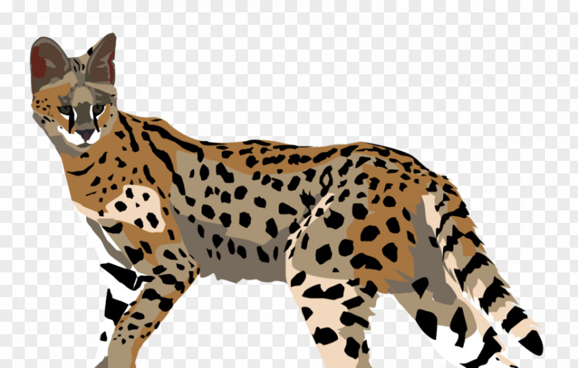 Cheetah Ocelot Leopard Jaguar Wildcat PNG