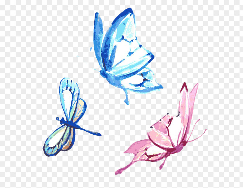 Drawing Butterfly Poster Painting PNG