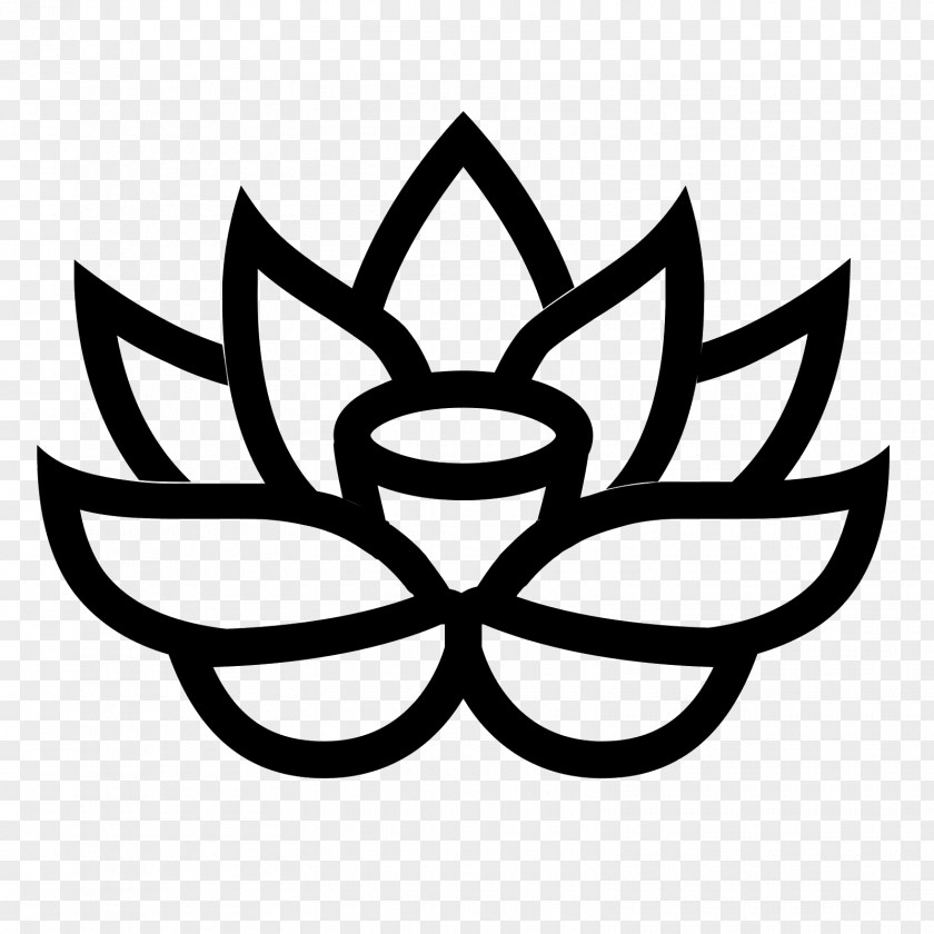 Lotus Flower Nelumbo Nucifera PNG