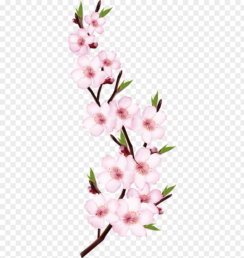 Peach Blossom Matched Red Flower Shoot PNG