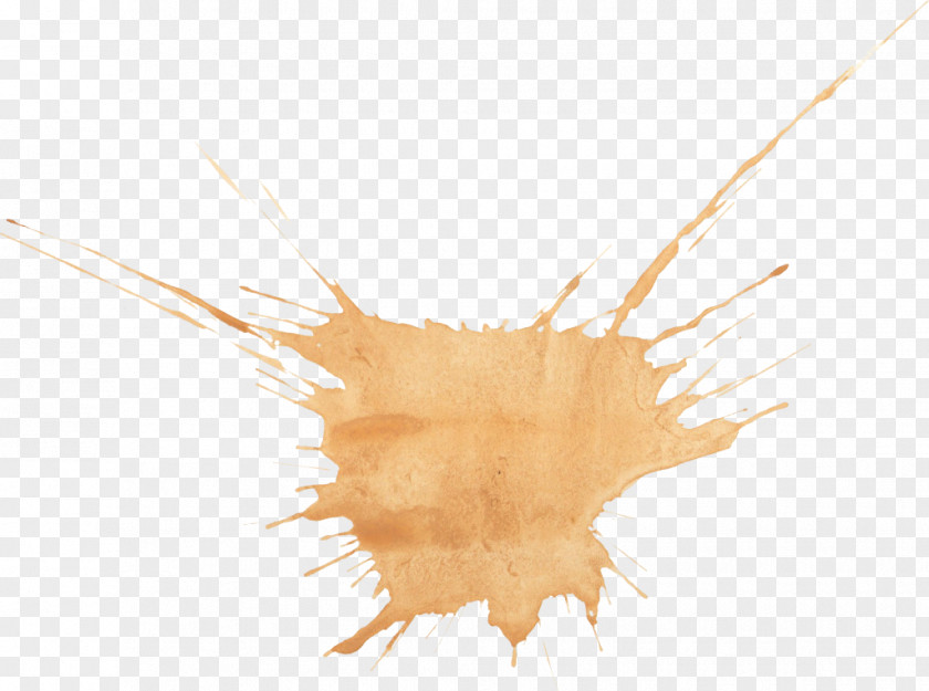 Watercolor Stain Painting PNG