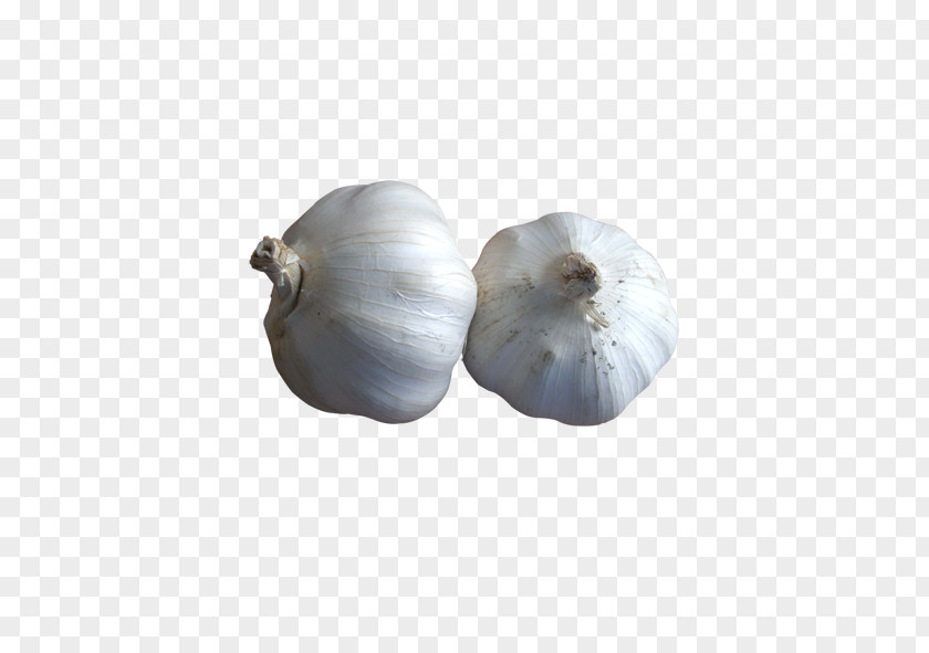Garlic Food Dish PNG