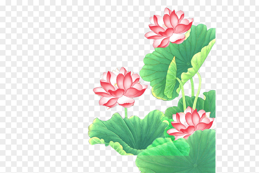 Hand-painted Lotus Chuxiong City Euclidean Vector PNG