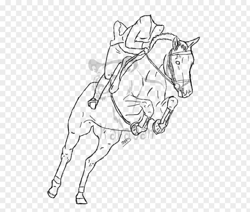 Horse Mule Line Art Pony Bridle PNG