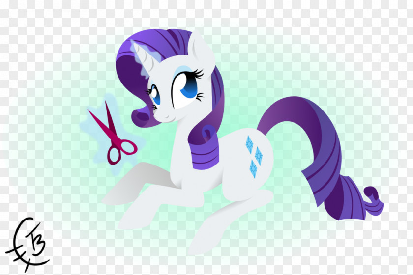 Horse Pony Rarity Rainbow Dash Derpy Hooves PNG