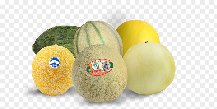 Melon Honeydew Cantaloupe Watermelon Fruit PNG