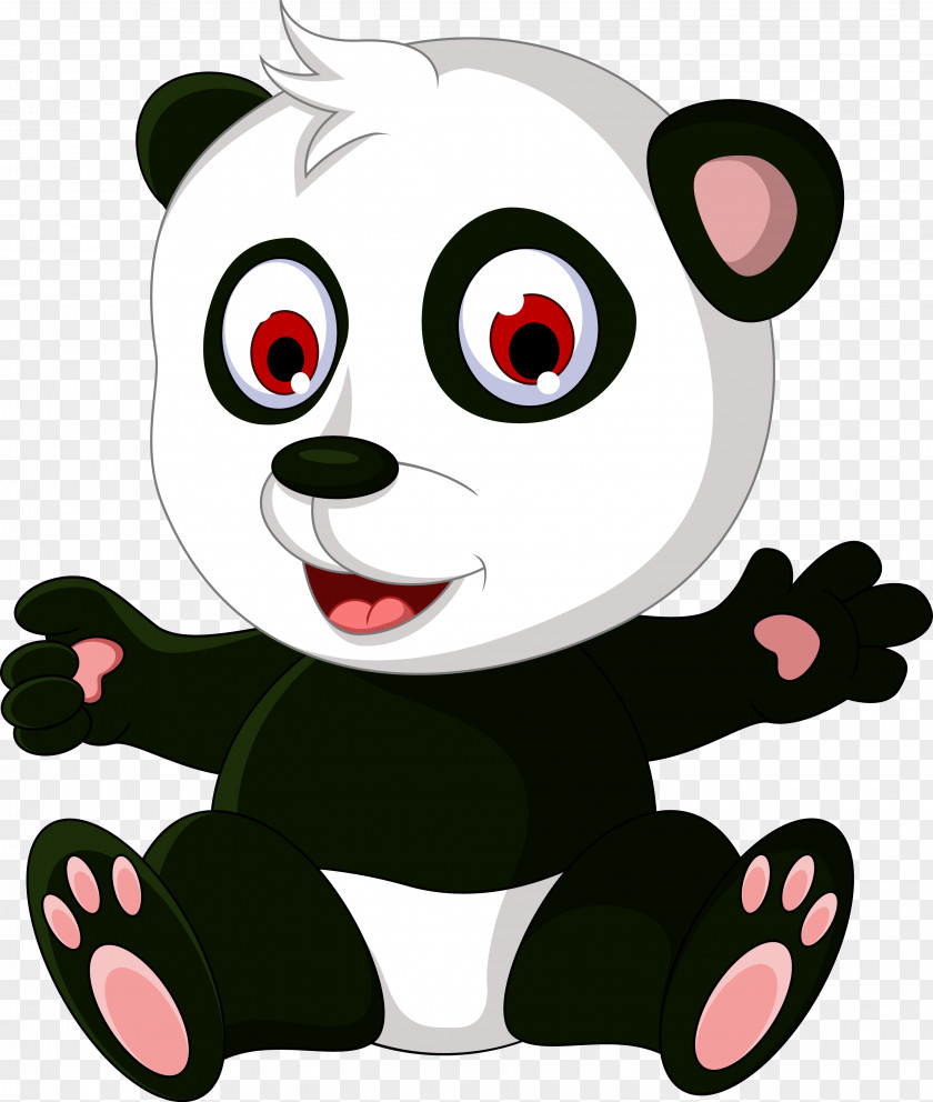 Panda Giant Bear Cuteness PNG