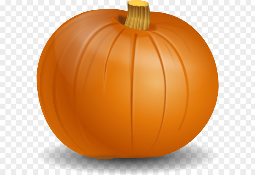 Pumpkin Zucchini Clip Art PNG