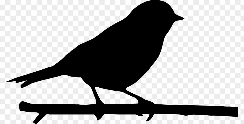 Silhouette Birds Bird PNG