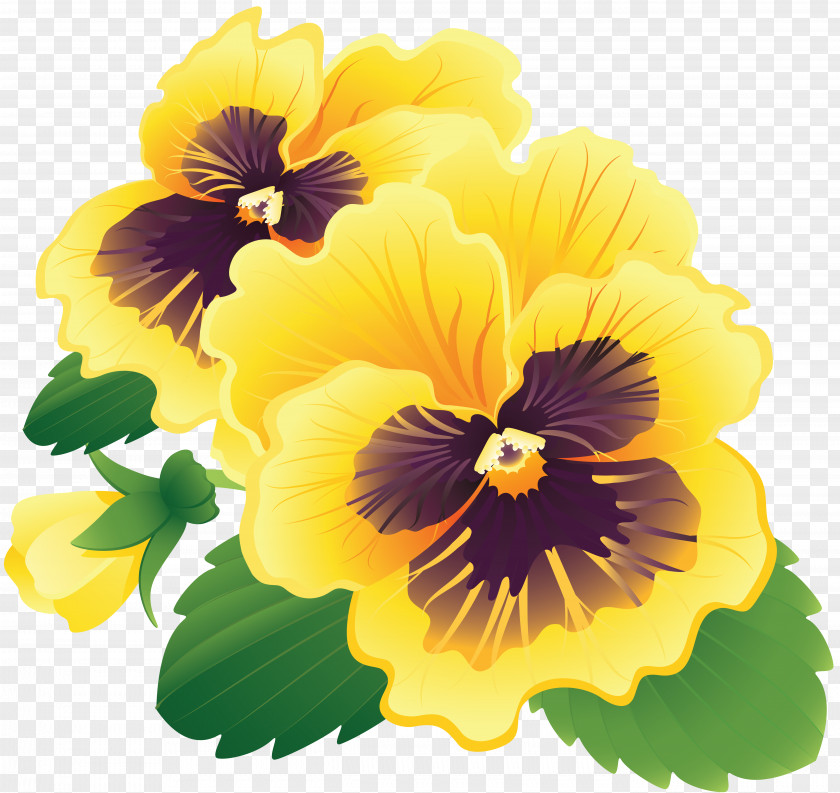 Wit Clipart Royalty-free Flower PNG