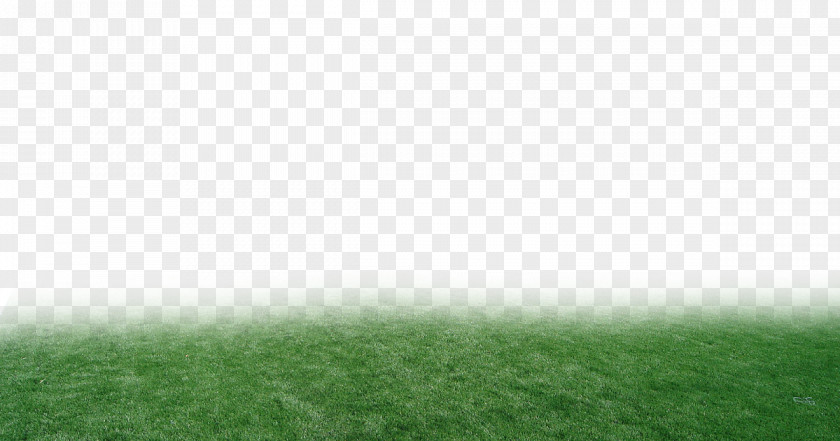 Artificial Grass Turf Atmosphere Grassland Land Lot Sunlight PNG