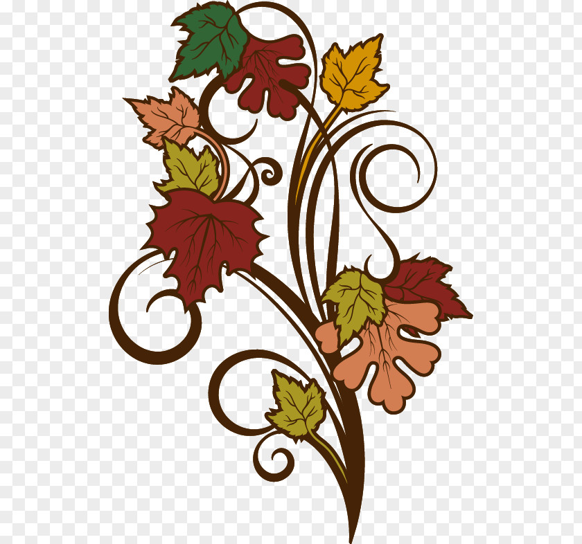 Autumn Maple Decorative Elements Leaf Color Adobe Illustrator PNG
