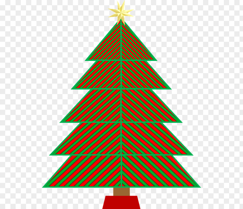 Christmas Tree Evergreen Pine PNG