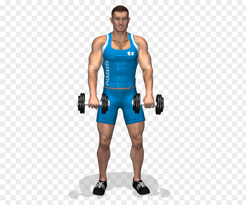 Dumbbell Row Upright Biceps Curl Exercise PNG