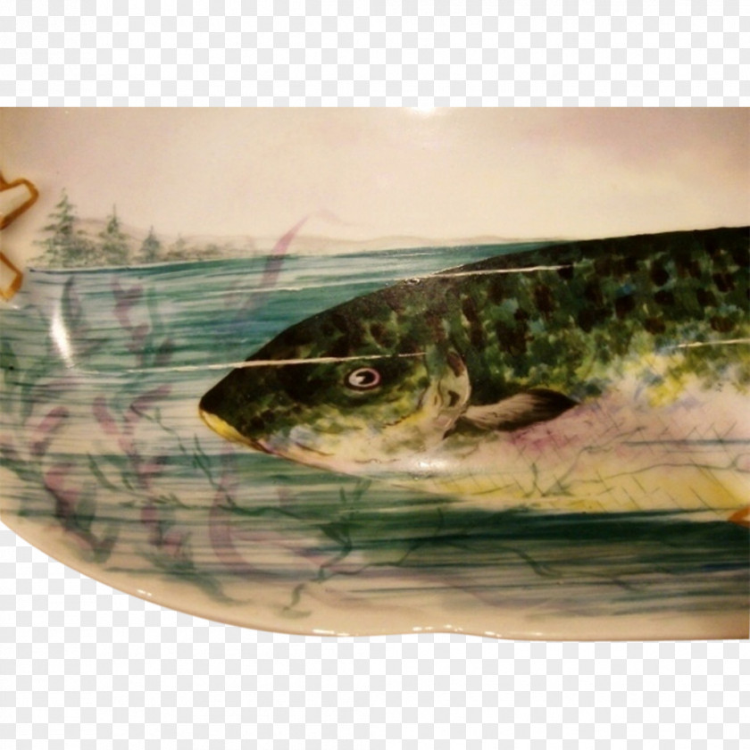 Hand-painted Fish Reptile Catfish Sardine Fauna PNG