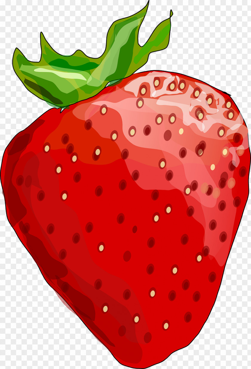 Kiwi Strawberry Drawing Clip Art PNG