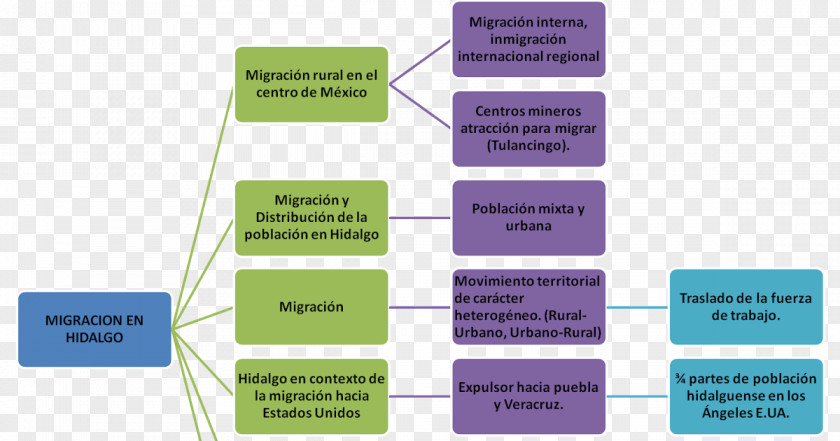 Map Concept Information Word PNG