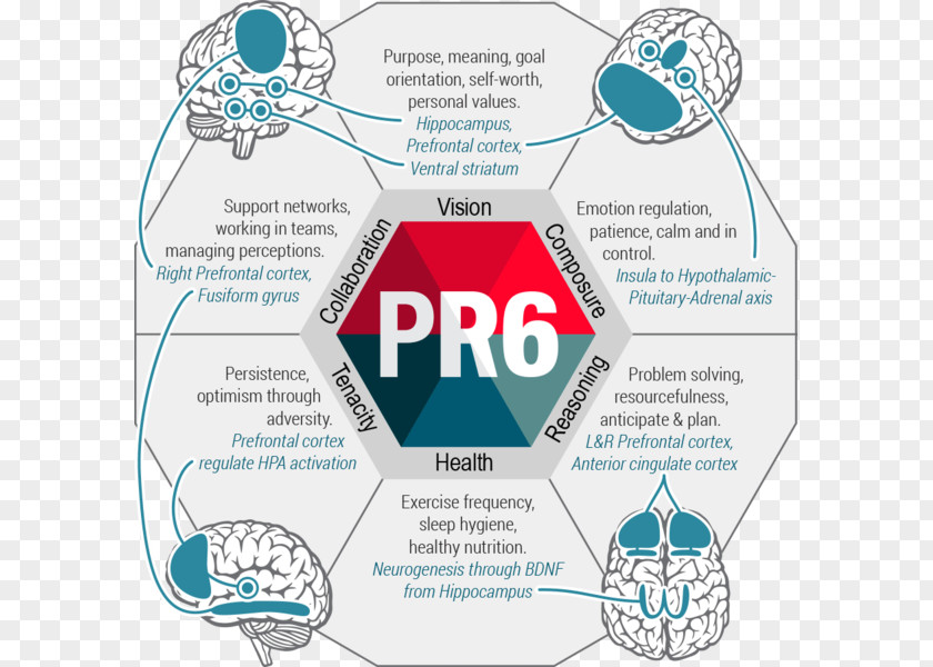 Scale Psychological Resilience Research Psychometrics Measurement PNG