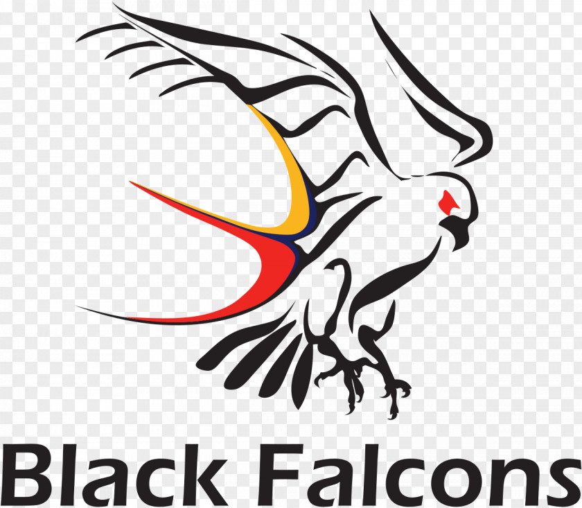 Adelaide Black Falcons Rugby Union Australian Shield Darwin Hottest Sevens PNG