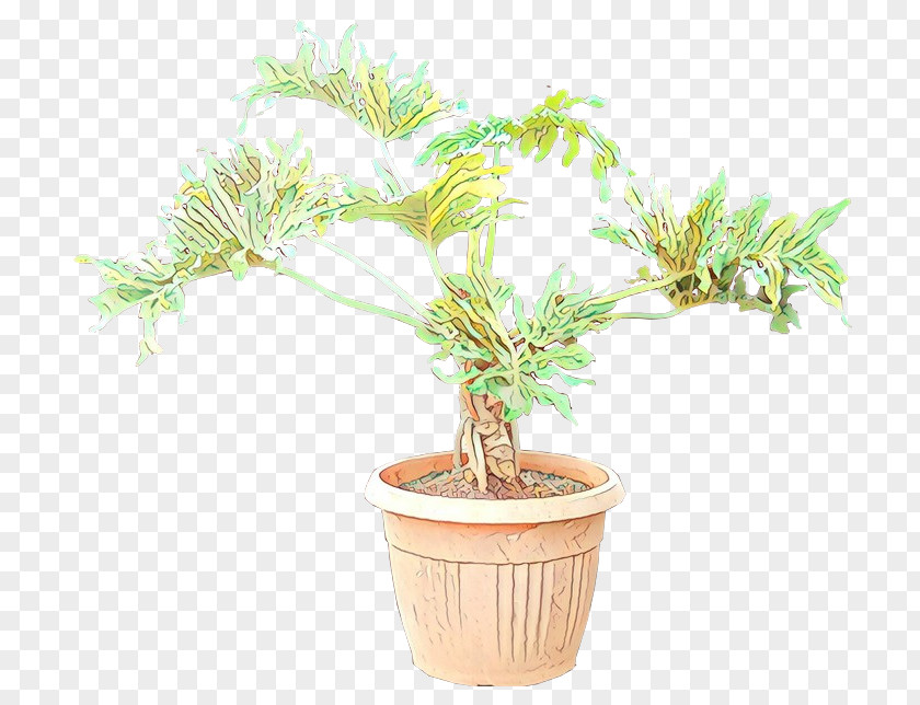 Bonsai Tree Philodendron Flowerpot Gardening PNG