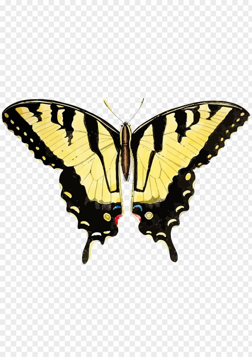 Butterfly Swallowtail Insect Eastern Tiger Black PNG
