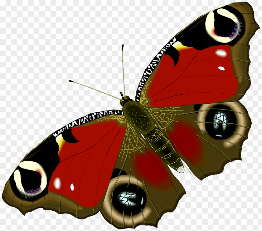 Insect Butterfly Animation Drawing Clip Art PNG